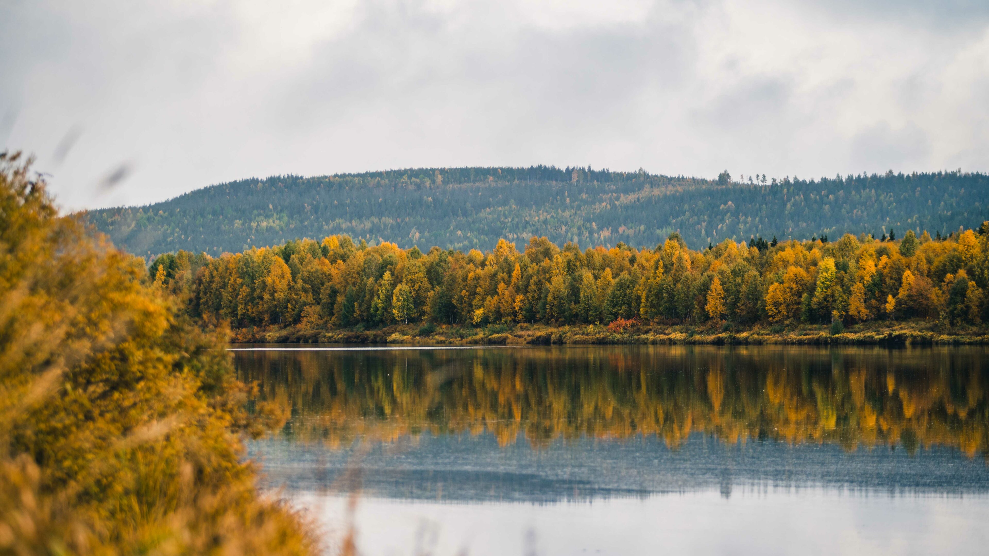 Autumn Colors in nature with a river in Rovaniemi Lapland Finland.