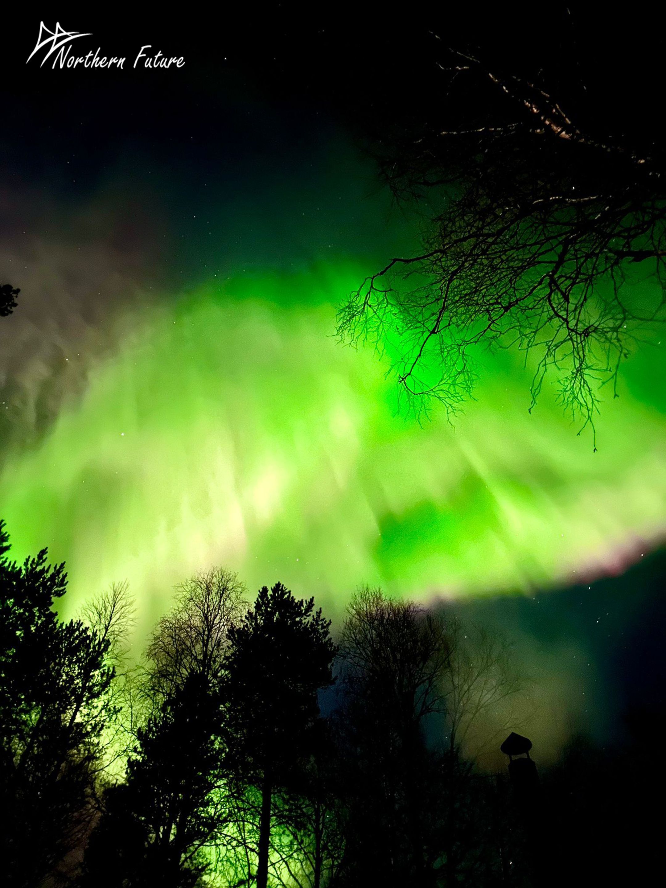 Green northern lights in the sky, Northern Future, Rovaniemi, Lapland, Finland