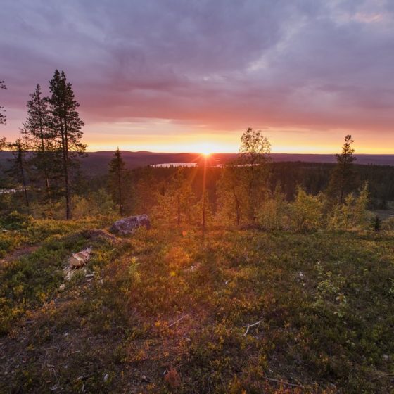 See Rovaniemi's sights and attractions - Visit Rovaniemi