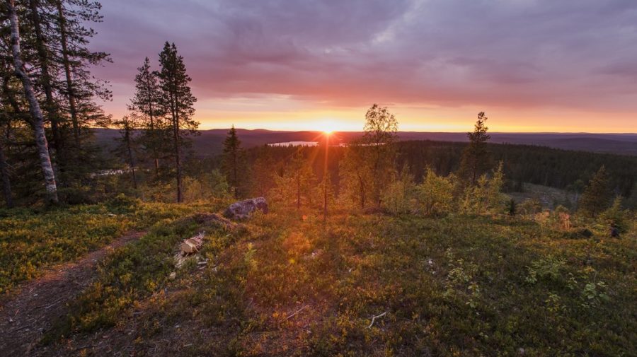 Ounasvaara Nature Trail - Visit Rovaniemi