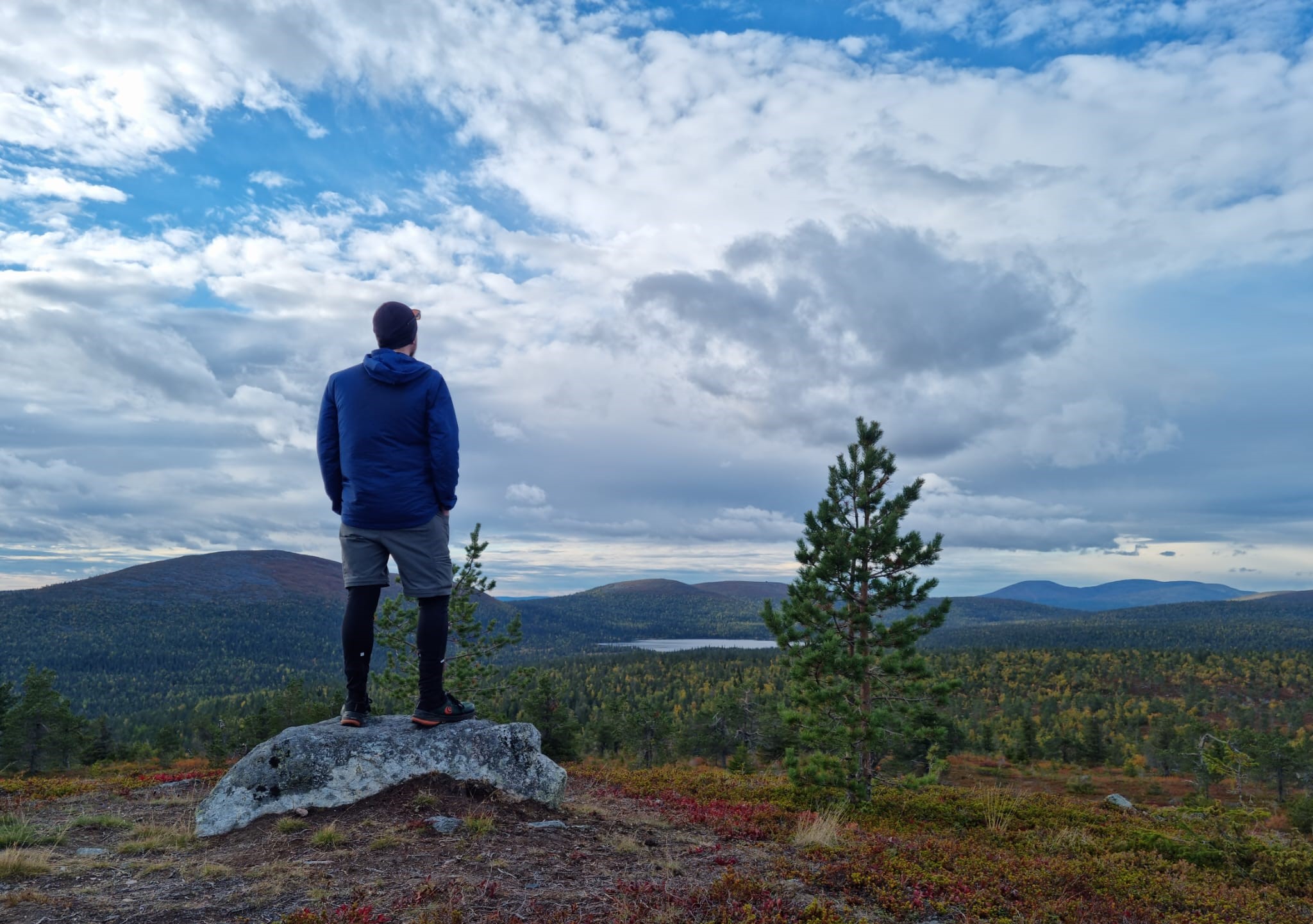 Person standing on a rock watching a landscape of trees and lakes in autumn. Tour by LaplandScapes.