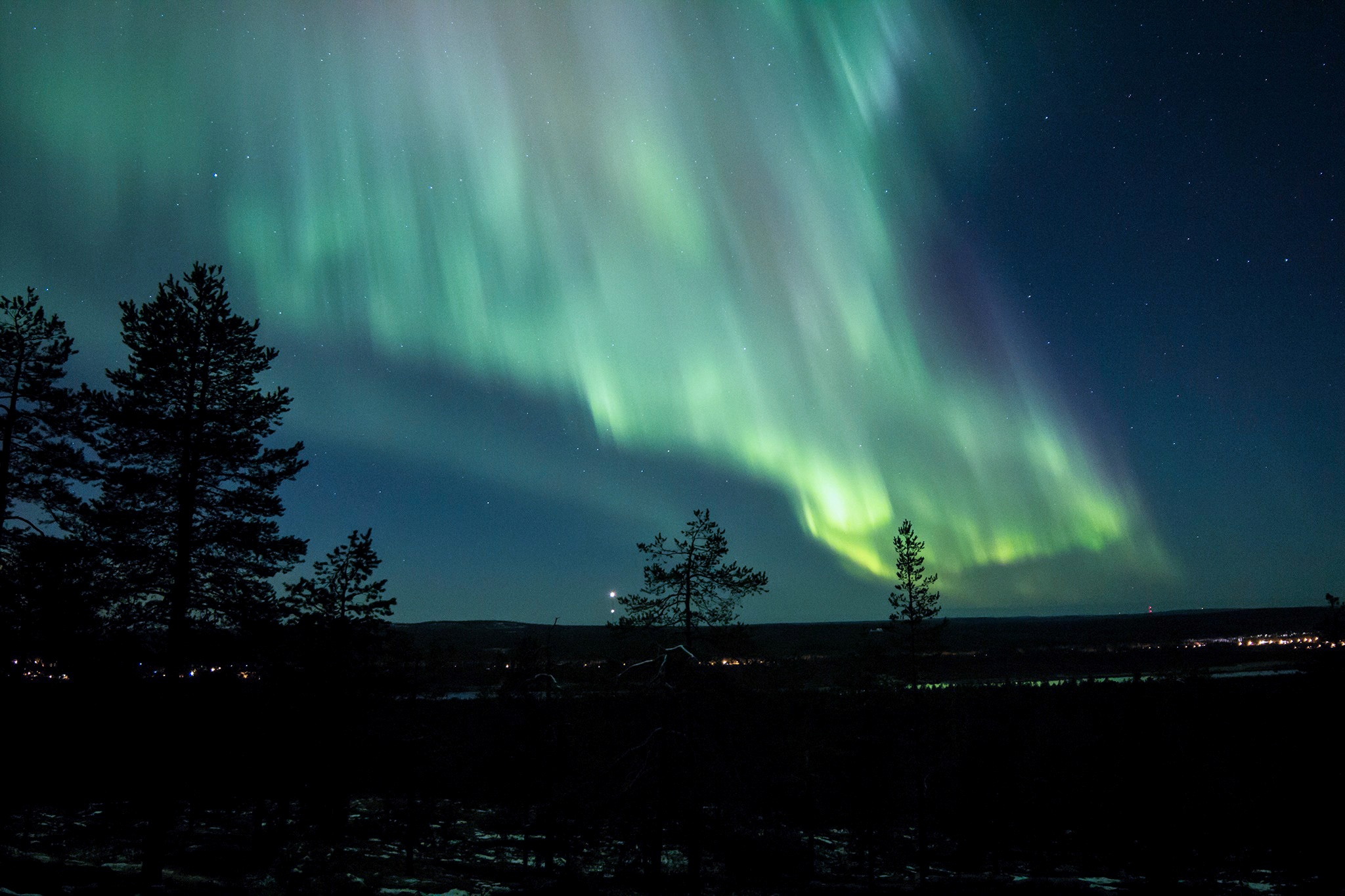 dark forest with northern lights in the sky. Tour by LaplandScapes.