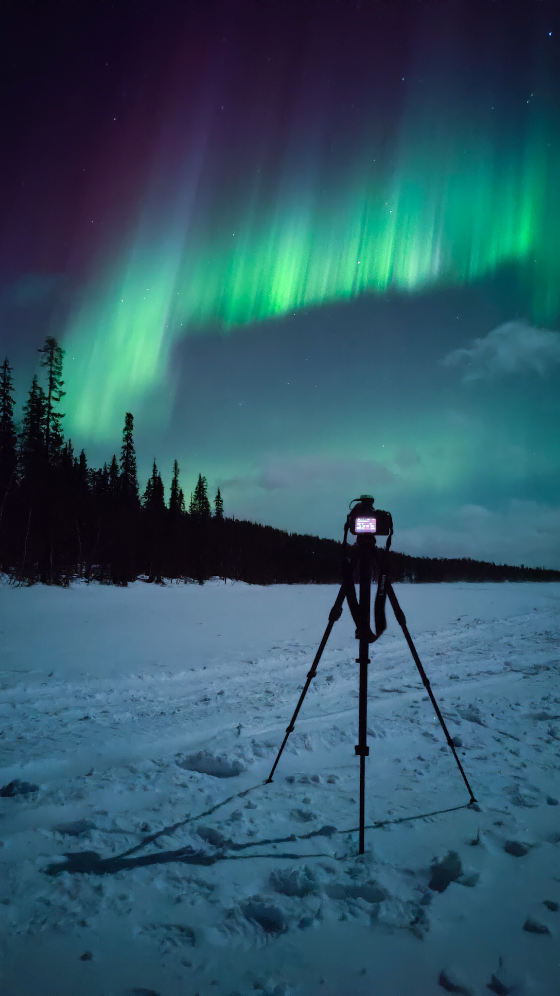 Camera on a tripod filming northern lights in the sky. Tour by LaplandScapes.