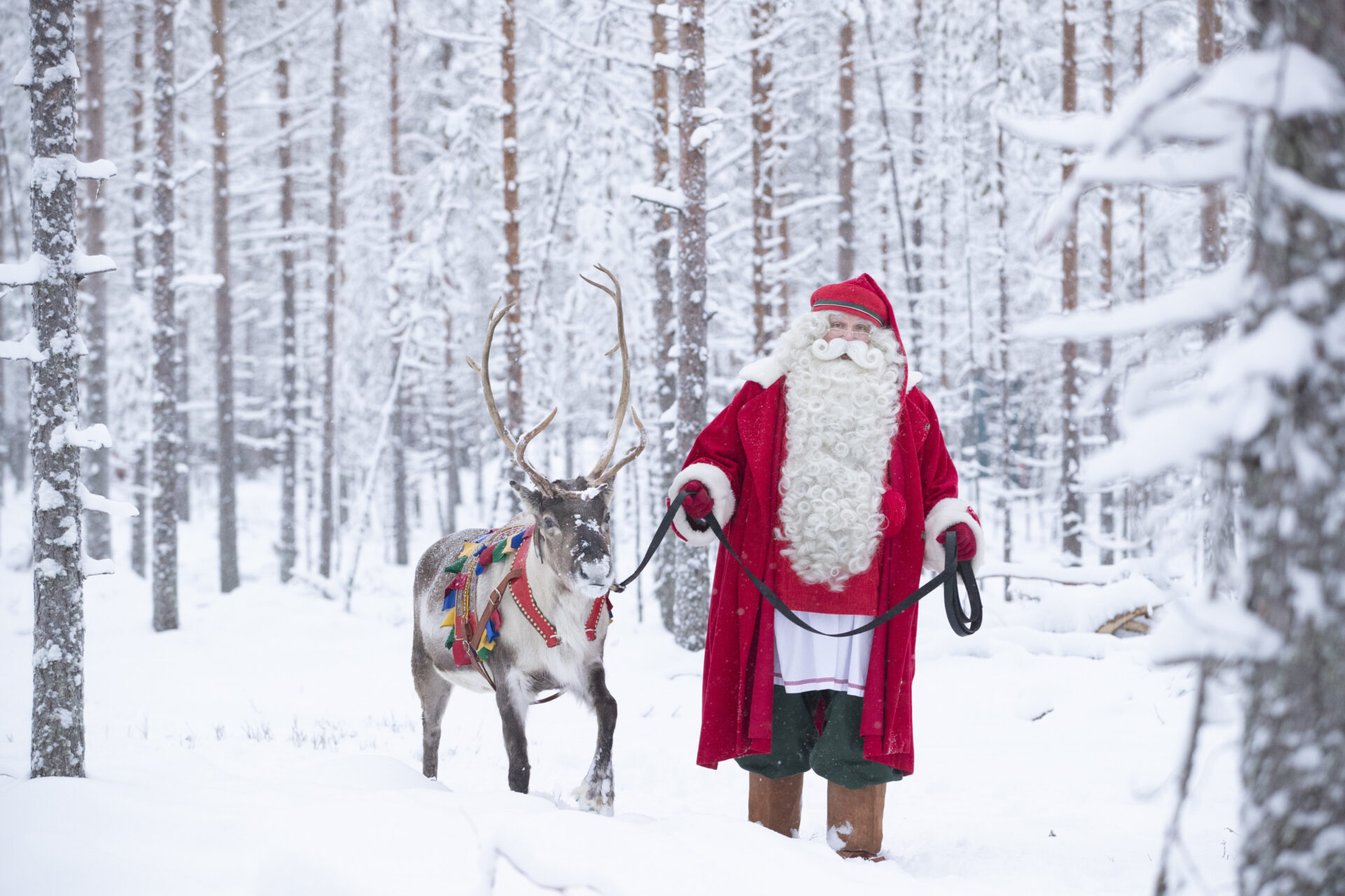 Discover Santa Claus And The Magic Of Christmas In Rovaniemi