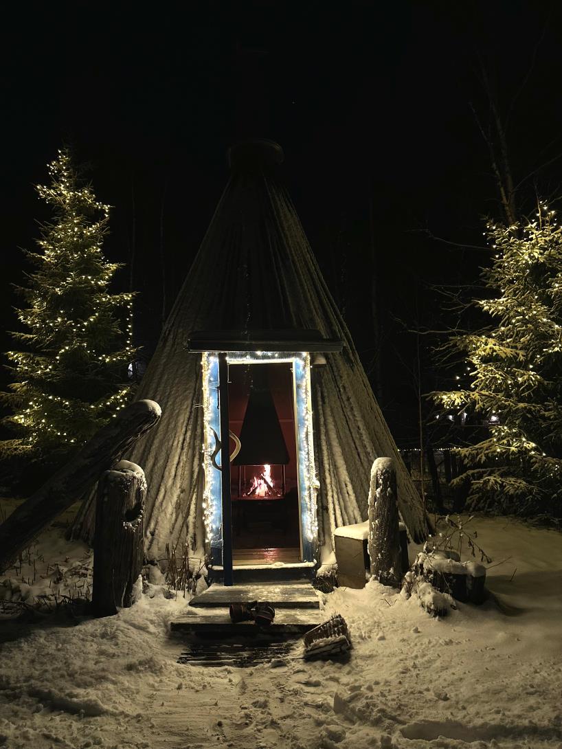 Lean-to shelter Kota and christmas trees, Shaman Village, Rovaniemi, Lapland, Finland