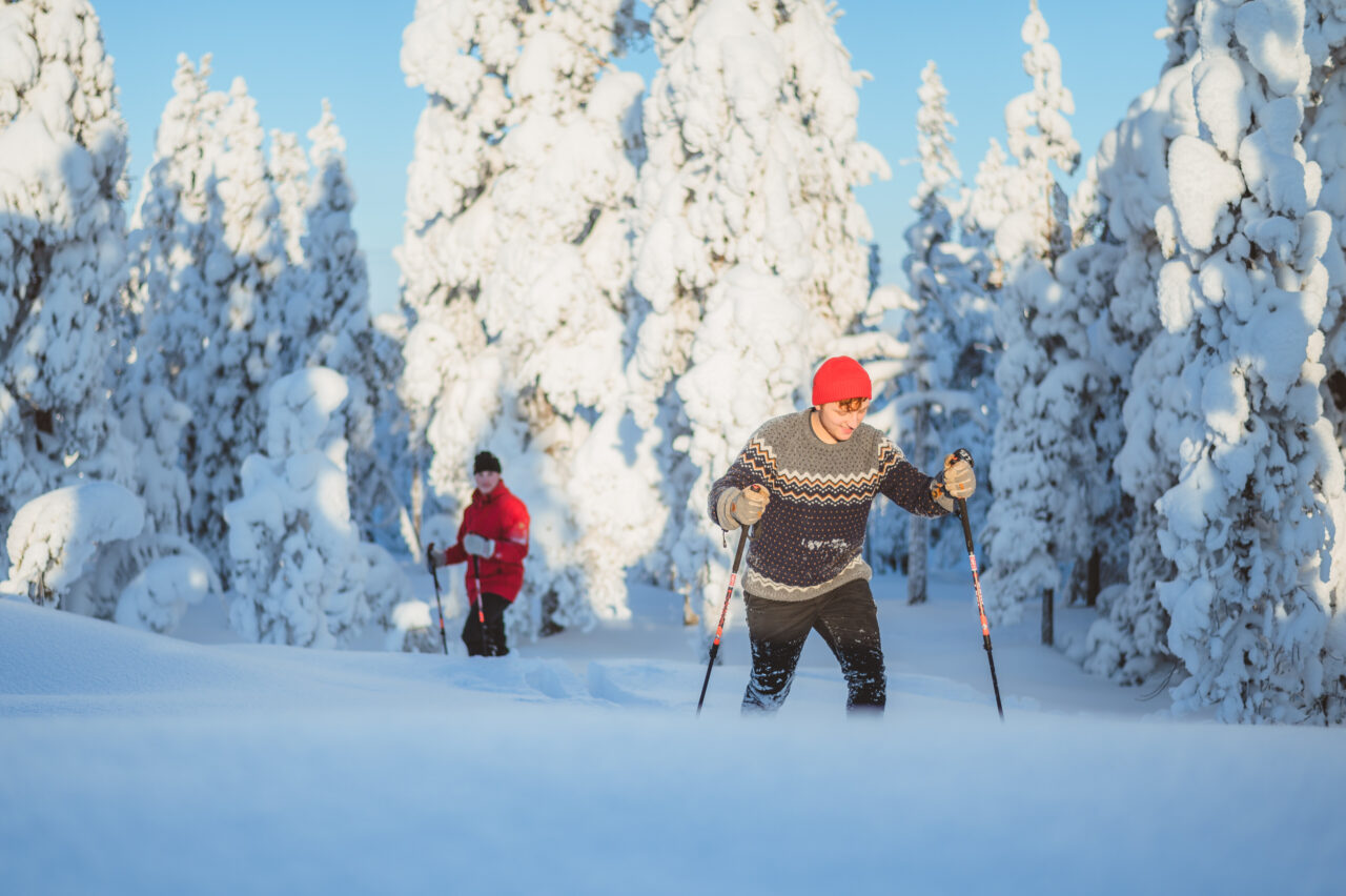 Magical Winter on The Arctic Circle in Rovaniemi - visit Rovaniemi