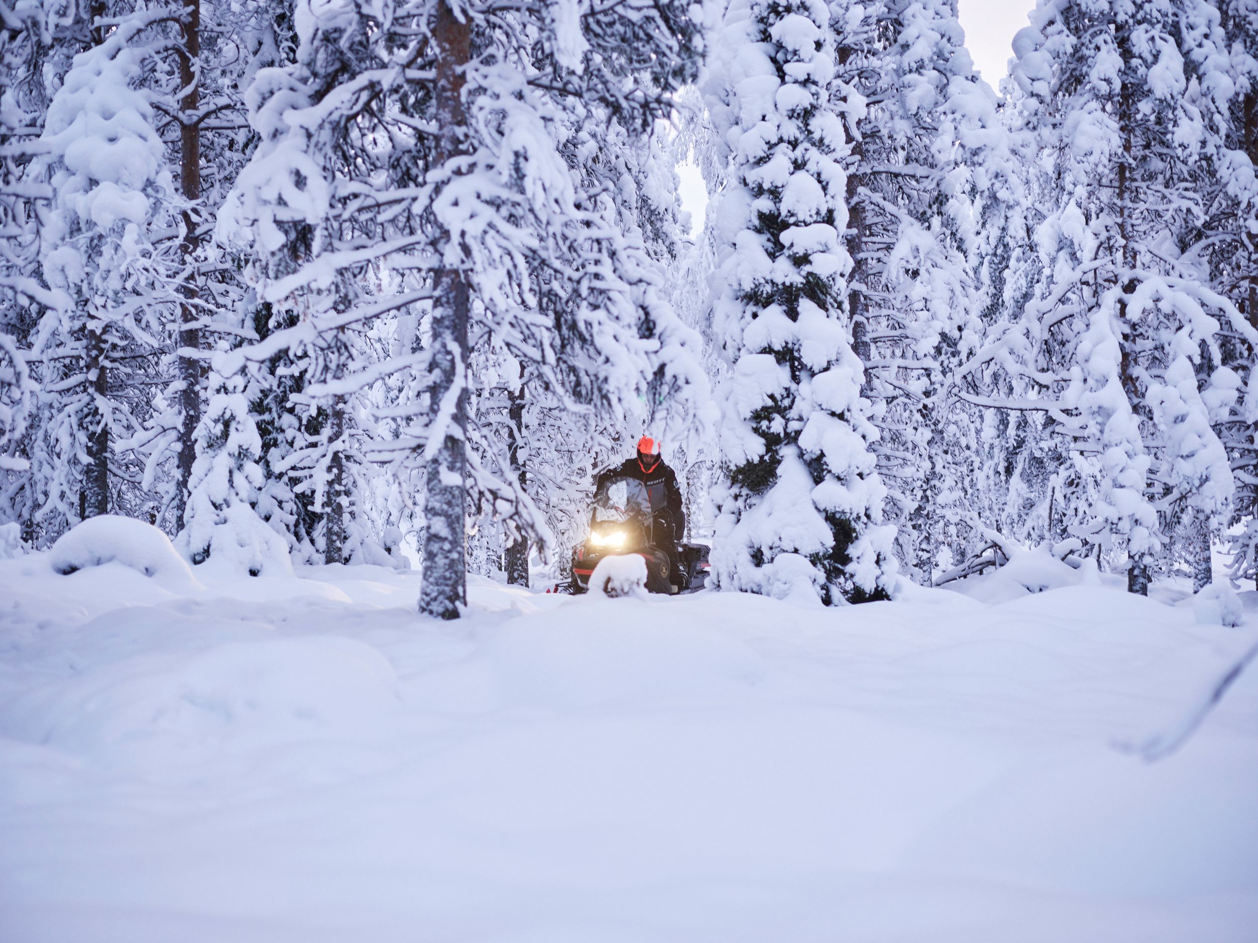 Snowmobiling in the snowy forest in Rovaniemi, Lapland, Finland, Arctra DMC