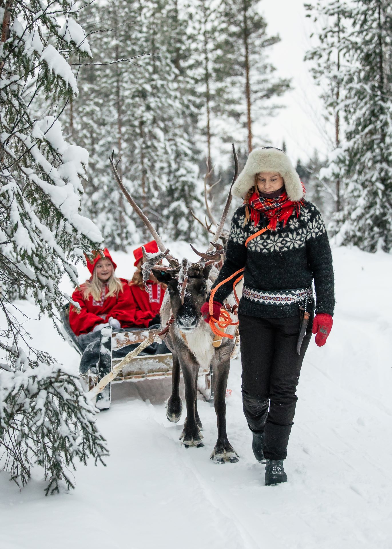 a woman walking a reindeer with sleigh through the snowy forest, Arctra DMC