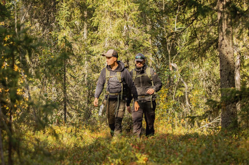 people hiking in the forest in summer